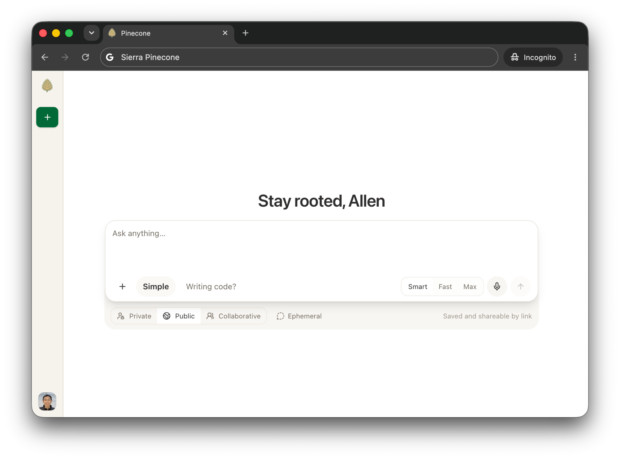 Image of Pinecone home page, that says "stay rooted, Allen" with a prompt bar underneath it