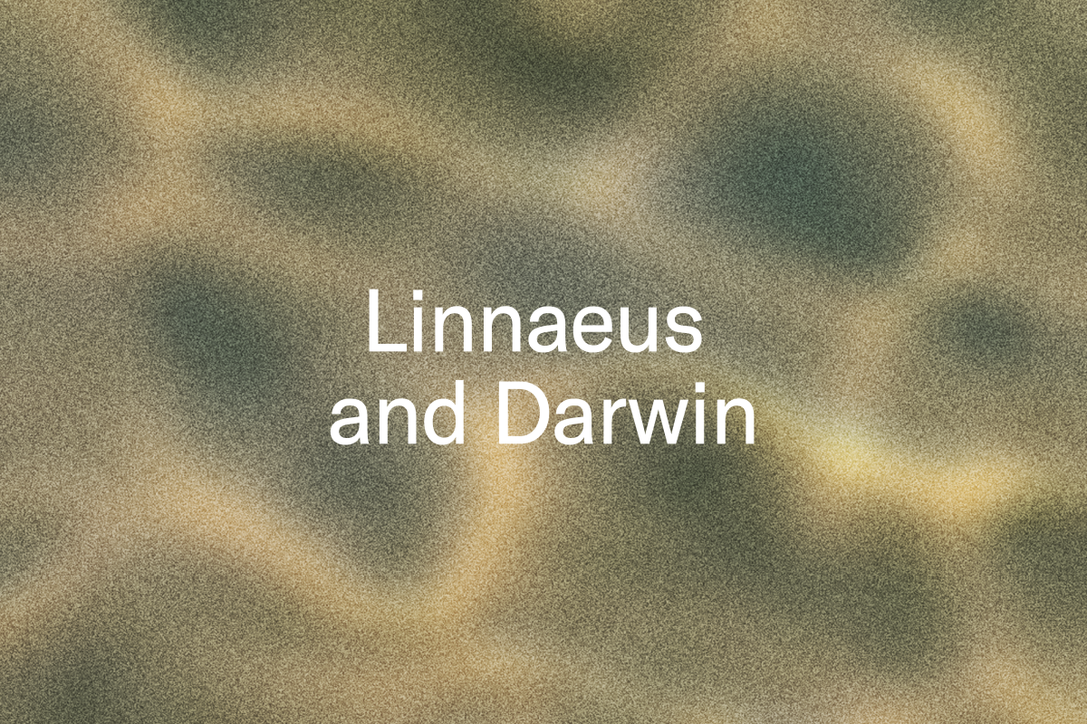 Text: Linnaeus and Darwin.