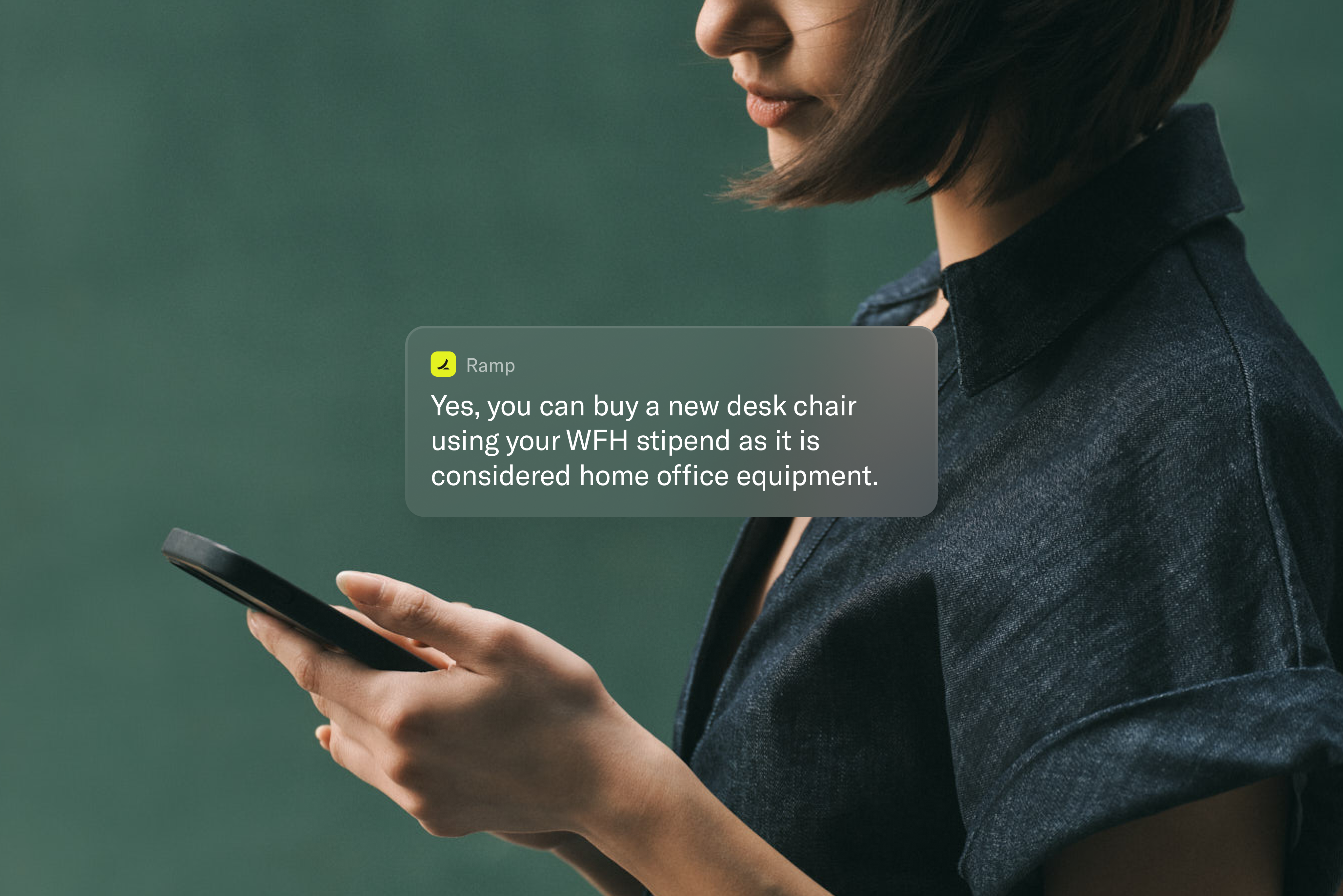 Sierra Ramp product image